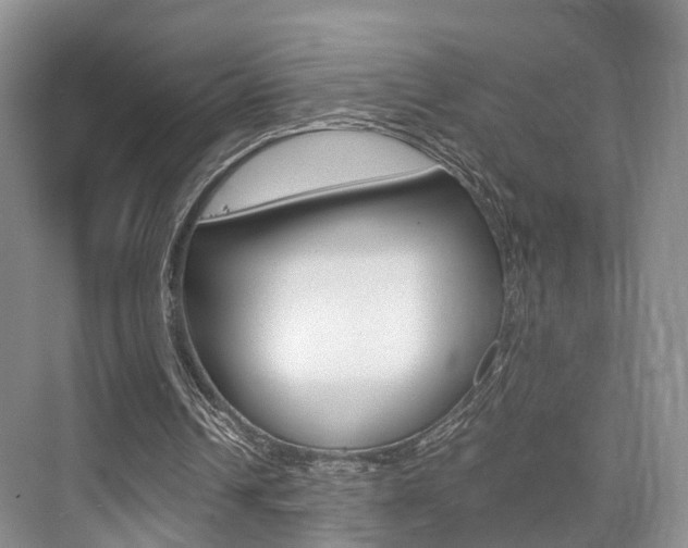 X0000076030242200609220900