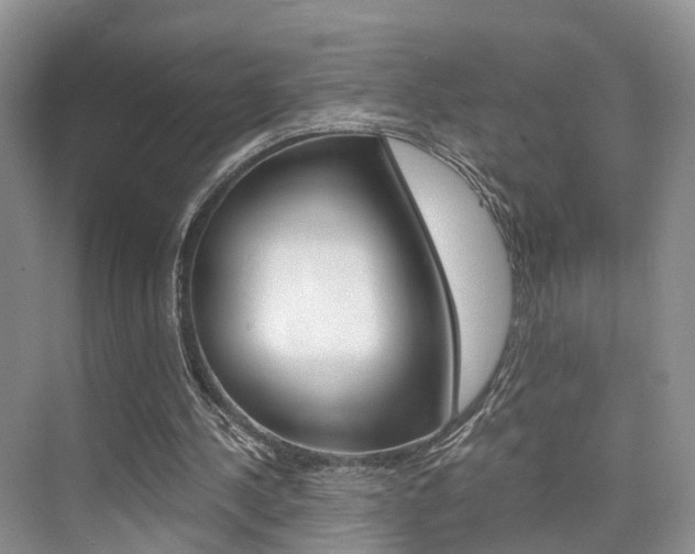 X0000076030244200609220900