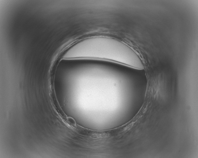X0000076030245200609220900