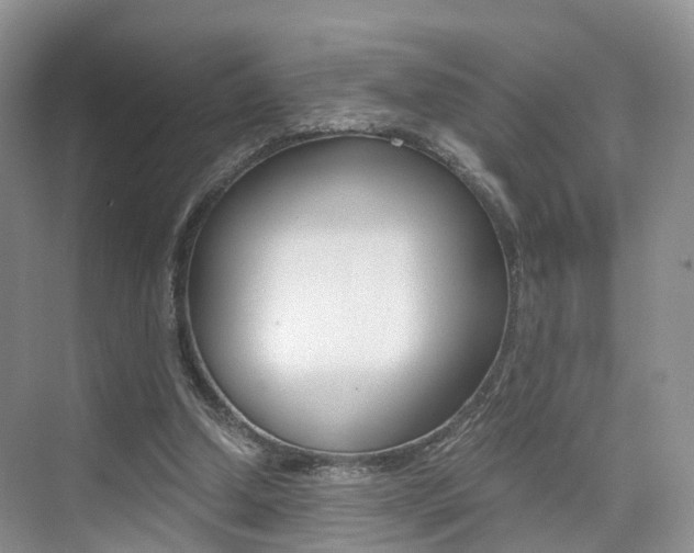 X0000076030250200609220900