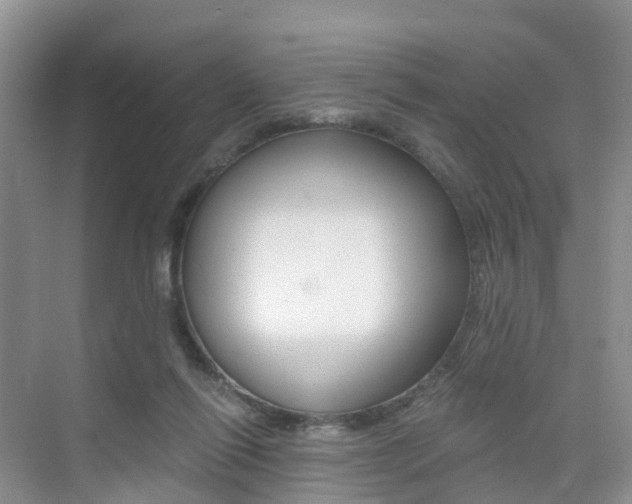 X0000076030262200609220900