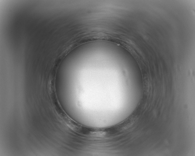 X0000076030266200609220900