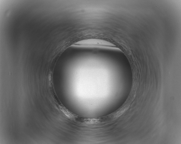 X0000076030288200609220901