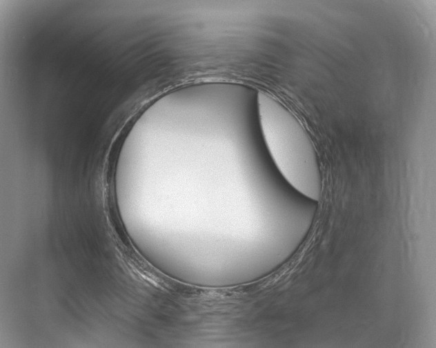 X0000076030290200609220900