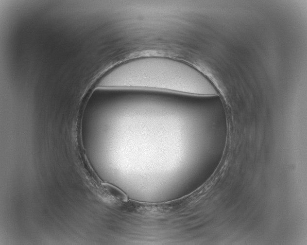 X0000076030297200609220900