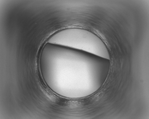 X0000076030298200609220900