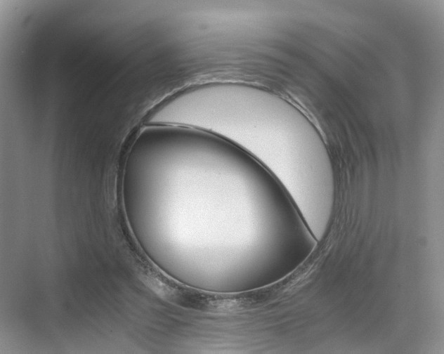 X0000076030301200609220900