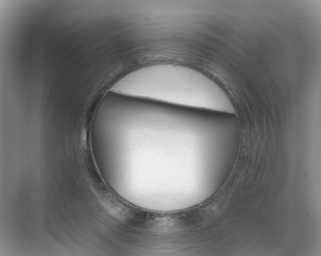 X0000076030310200609220859