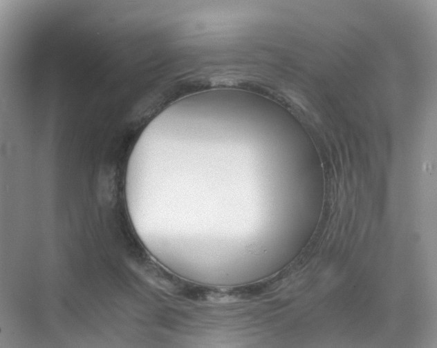 X0000076030311200609220859