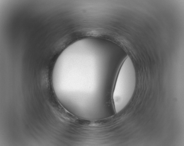 X0000076030312200609220859