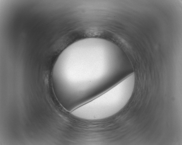 X0000076030315200609220859