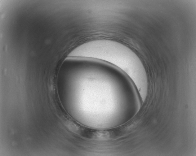 X0000076030317200609220859