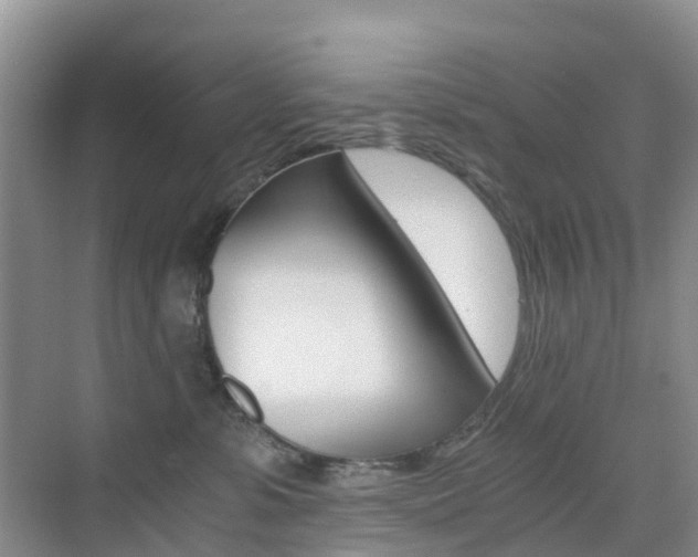 X0000076030331200609220859