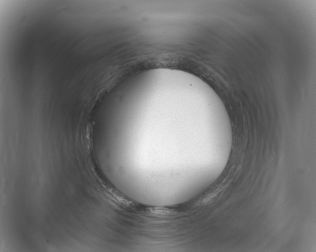 X0000076030336200609220859