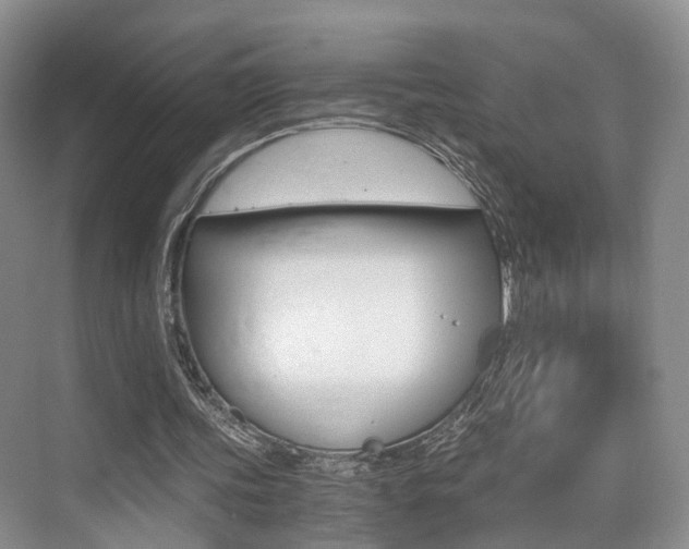 X0000076030339200609220858