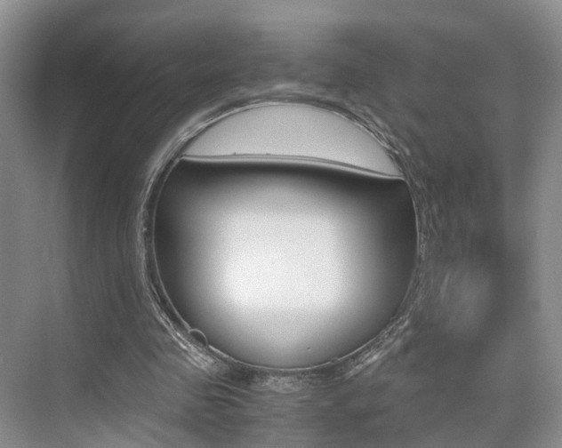 X0000076030341200609220858