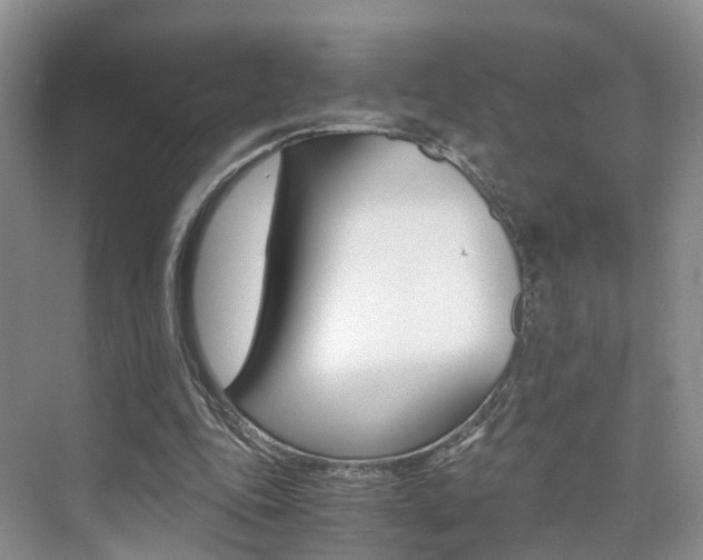 X0000076030343200609220858