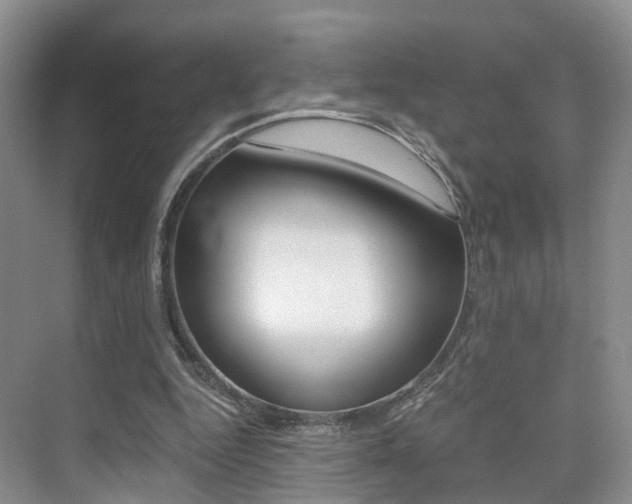 X0000076030344200609220858