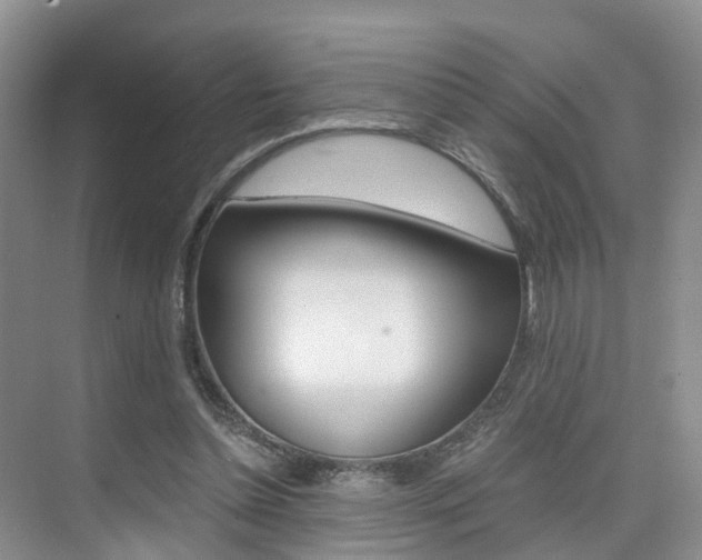 X0000076030348200609220858