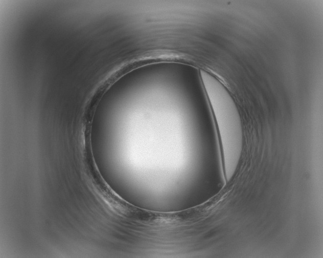 X0000076030350200609220858