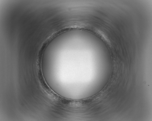 X0000076030354200609220858