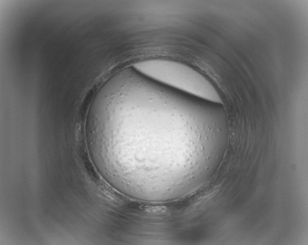 X0000076030355200609220858