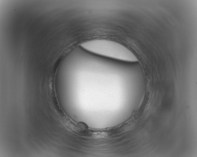 X0000076030363200609220859