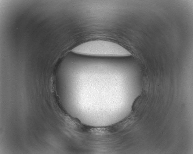 X0000076030378200609220859