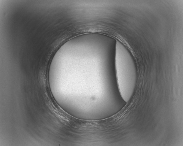X0000076030386200609220858