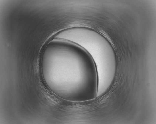 X0000076030387200609220858