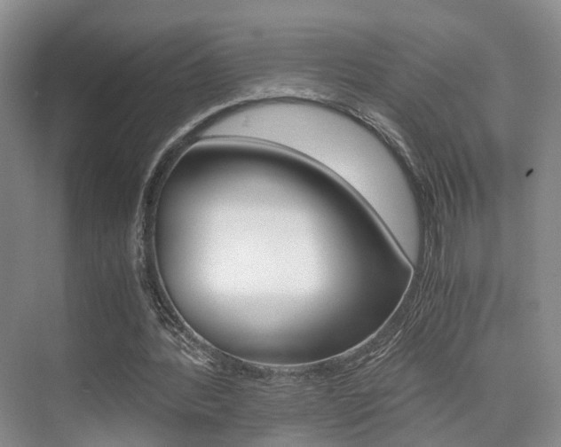X0000076030388200609220858