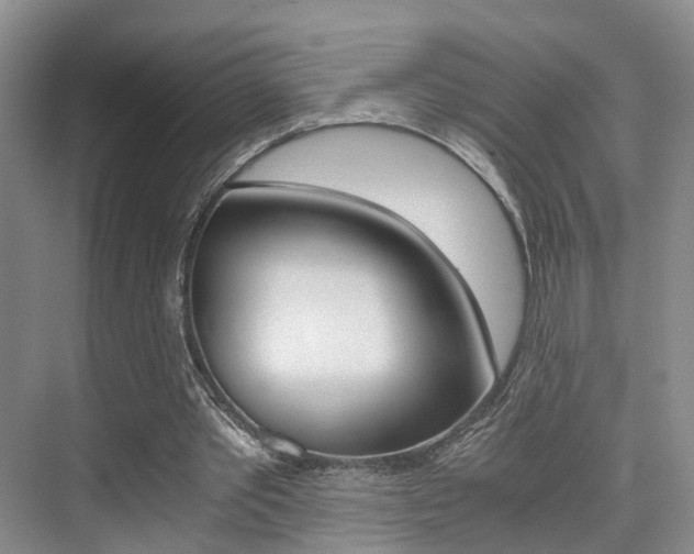 X0000076030389200609220858