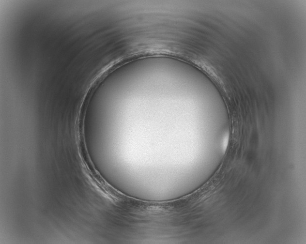 X0000076030390200609220858