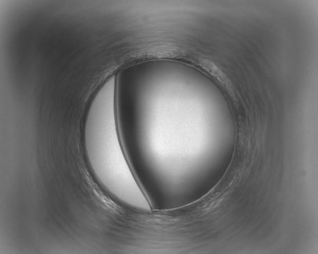 X0000076030393200609220858