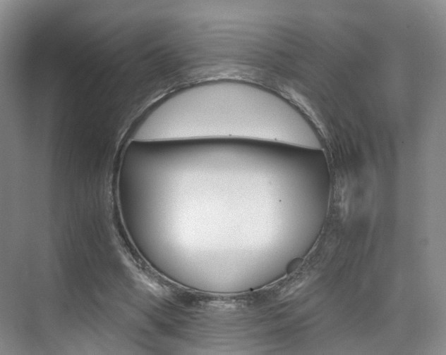 X0000076030394200609220858