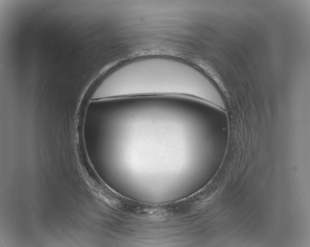X0000076030395200609220858