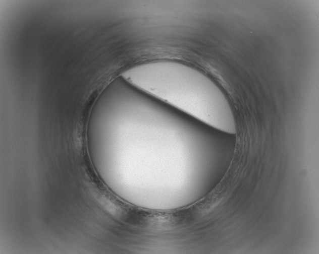 X0000076030402200609220858