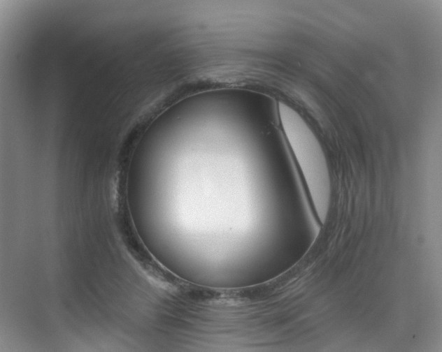X0000076030404200609220858