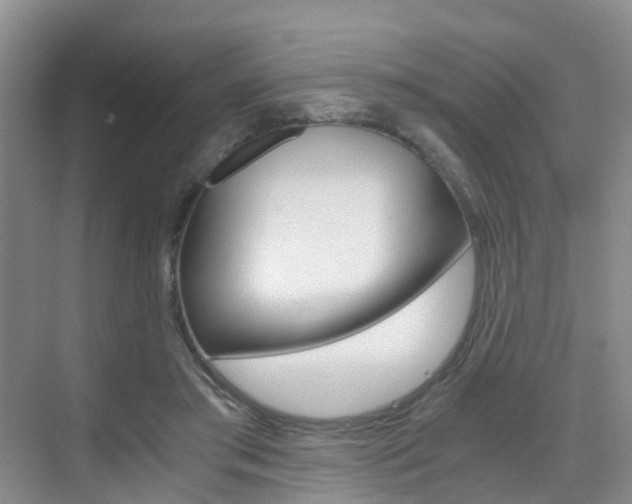X0000076030405200609220858