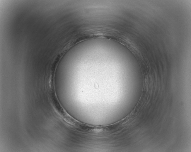 X0000076030406200609220858