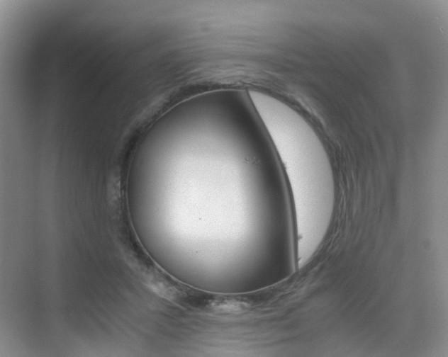 X0000076030407200609220858