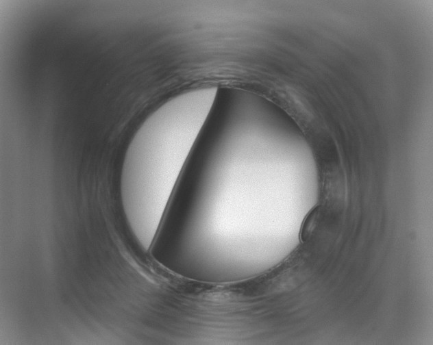 X0000076030408200609220858