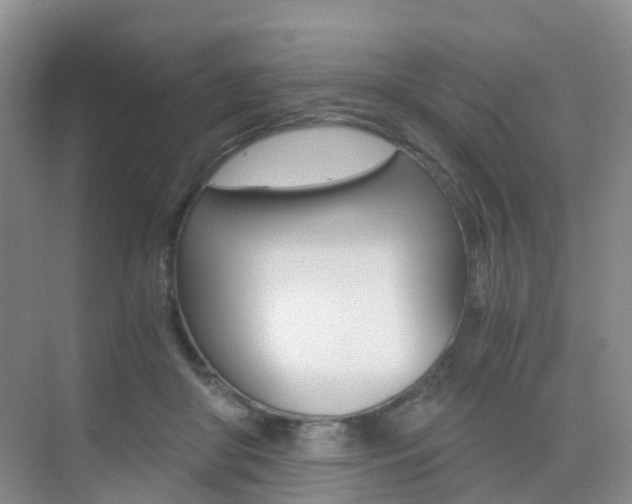 X0000076030410200609220858