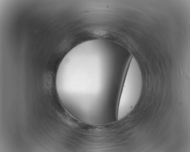 X0000076030412200609220858