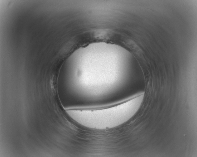 X0000076030424200609220857
