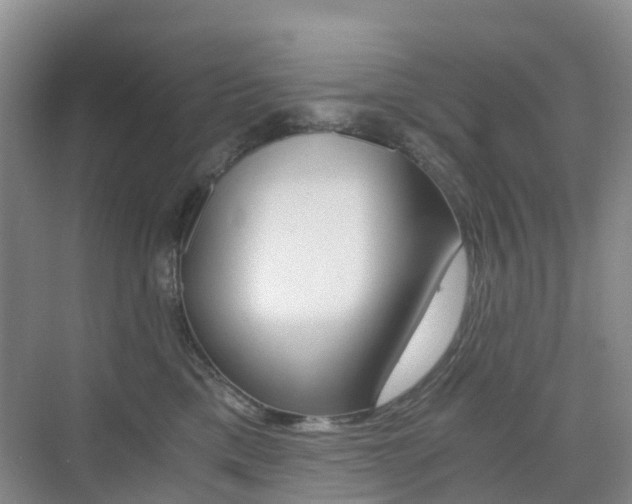 X0000076030425200609220857
