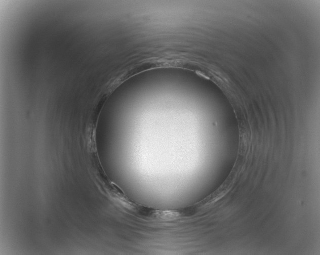 X0000076030429200609220857
