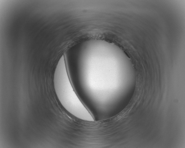 X0000076030432200609220857