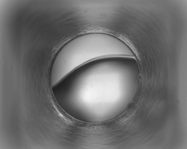 X0000076030433200609220857