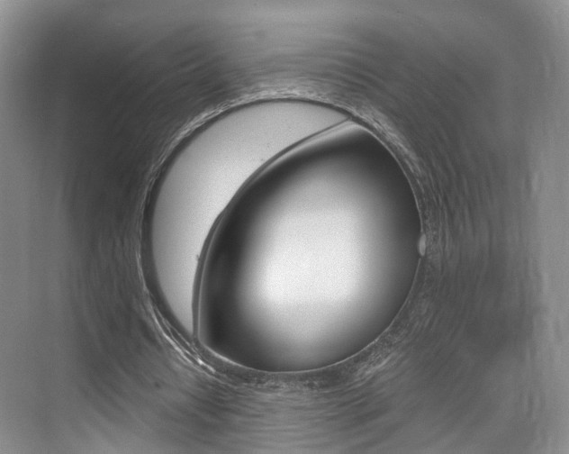X0000076030434200609220857